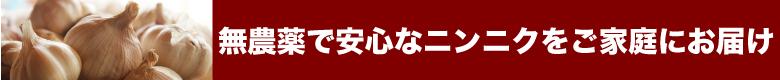 無農薬で安心なニンニクをご家庭にお届け