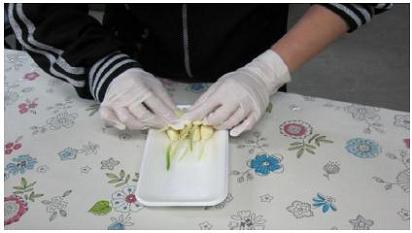 ⑧トレイへ梱包