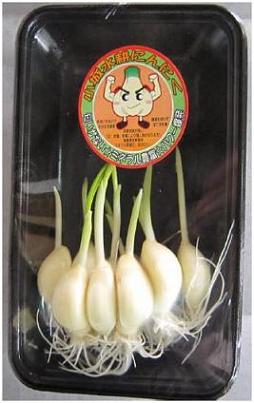 パック１０個入り