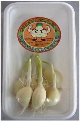 パック７個入り