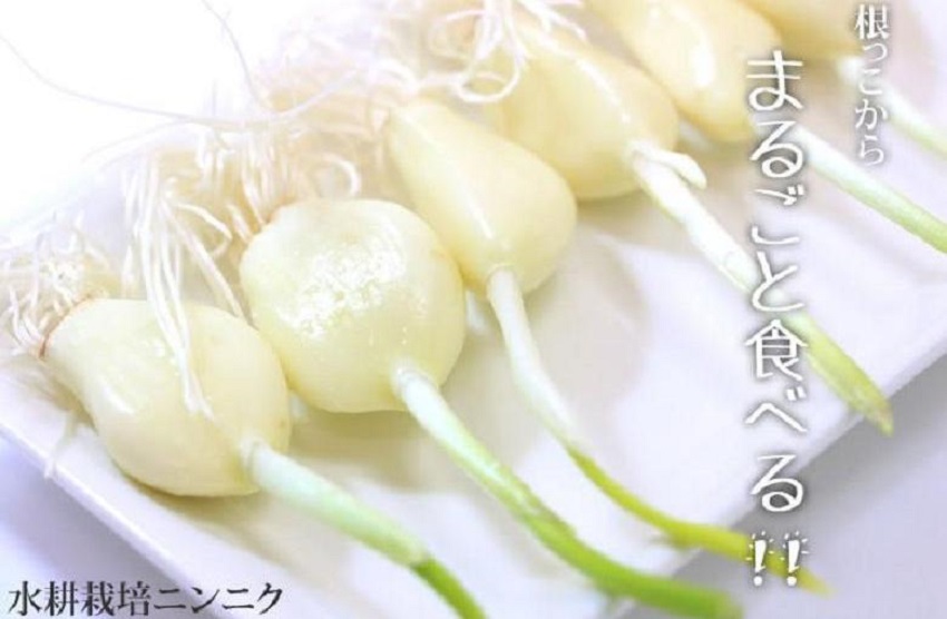 栄養満点で格別の味